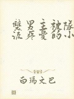 双男主被队友轮流疼爱的小说共感