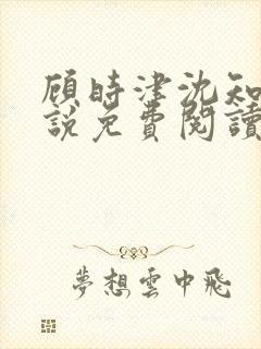 顾时津沈知意小说免费阅读最新章节