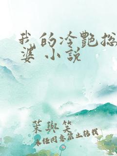 我的冷艳总裁老婆 小说