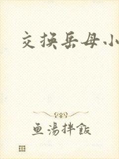 交换岳母小说