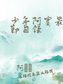 少年阿宾最新章节目录