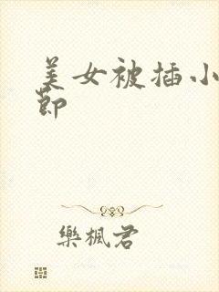 美女被插小说章节