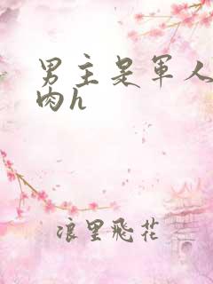 男主是军人的肉肉h