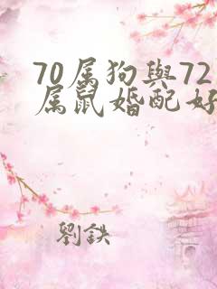 70属狗与72属鼠婚配好不好