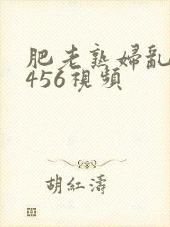 肥老熟妇乱子伦456视频