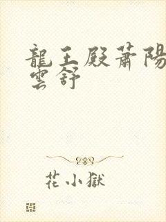 龙王殿萧阳和叶云舒