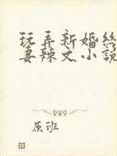 玩弄新婚丝袜娇妻辣文小说