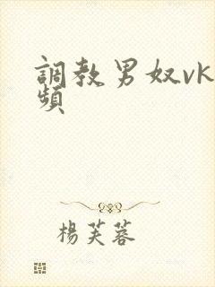 调教男奴vk视频