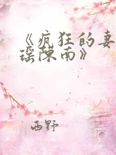 《疯狂的妻子林瑶陈南》