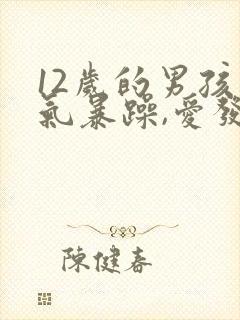 12岁的男孩脾气暴躁,爱发脾气怎么办