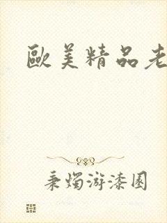 欧美精品老少妇