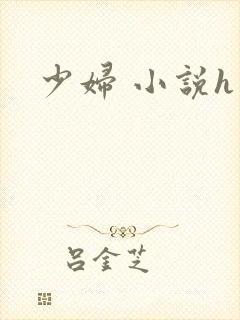少妇 小说h