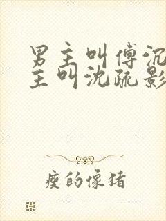 男主叫傅沉舟女主叫沈疏影的小说