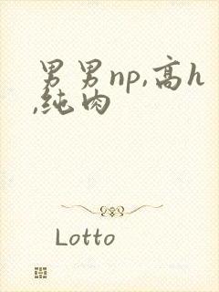 男男np,高h,纯肉