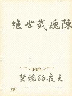 绝世武魂陈枫版