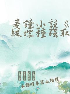 麦镜小说《被顶级坏种强取豪夺了》