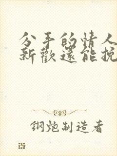 分手的情人有了新欢还能挽回吗