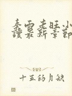 秦雨老旺小说阅读最新章节