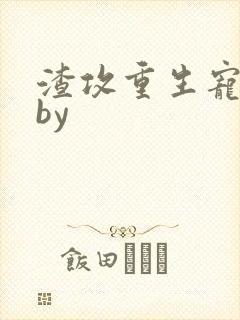 渣攻重生宠男妻by