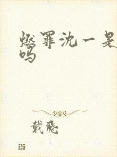 燃罪沈一是好人吗