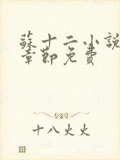 苏十二小说最新章节免费