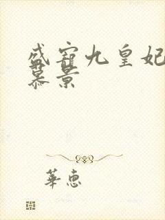 盛宠九皇妃轩辕慕景