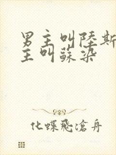 男主叫陆斯年女主叫苏染