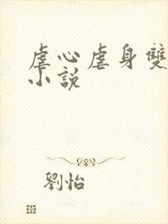 虐心虐身双男主小说