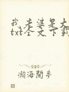 我老婆是大明星txt全文下载