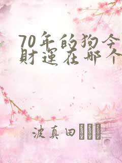 70年的狗今年财运在哪个方向