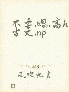 不要,嗯,高h古文,np