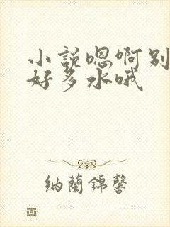 小说嗯啊别舔了好多水哦
