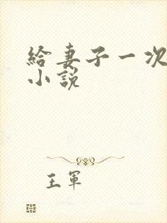 给妻子一次恋爱小说