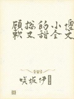 顾总的小傻子又软又甜全文免费阅读小说