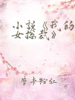 小说《我的高冷女总裁》