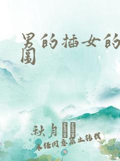 男的插女的动态图