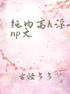 纯肉高h淫受文np文