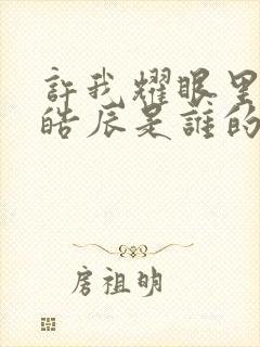 许我耀眼里的沈皓辰是谁的孩子