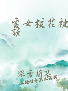 处女校花被插小说