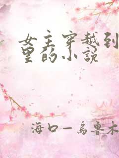 女主穿越到小说里的小说