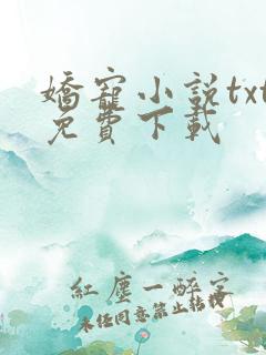 娇宠小说txt免费下载