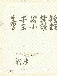 生子囚禁短篇双男主小说推荐