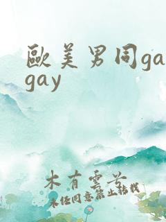 欧美男同gaygay