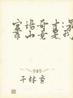 官场奇才:最强靠山竟是我自己李澜小说最