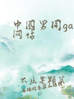 中国男同gay网站