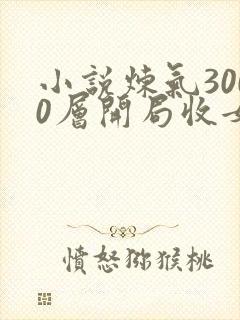小说炼气3000层开局收女帝为徒那里可以看