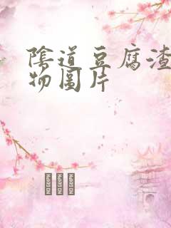 阴道豆腐渣分泌物图片