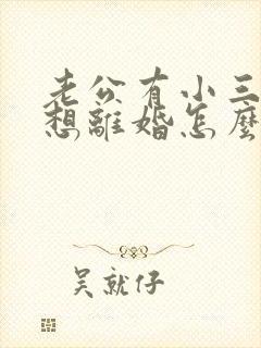 老公有小三我不想离婚怎么办