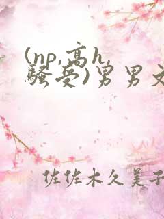 (np,高h,骚受)男男文