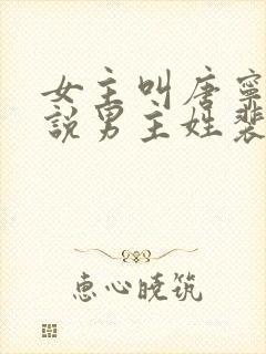 女主叫唐宁的小说男主姓裴